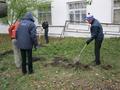 Акция «Посади дерево»