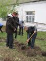 Акция «Посади дерево»