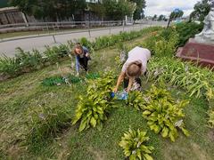 Цветоводы за работой