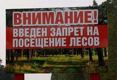 В Хойникском районе введен запрет на посещение лесов