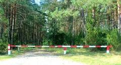 На территории Хойникского района введен запрет на посещение лесов