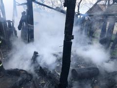 На пожаре в деревне Дворище травмировался ребенок