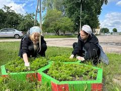 Временная трудовая занятость управления по труду занятости и социальной защите