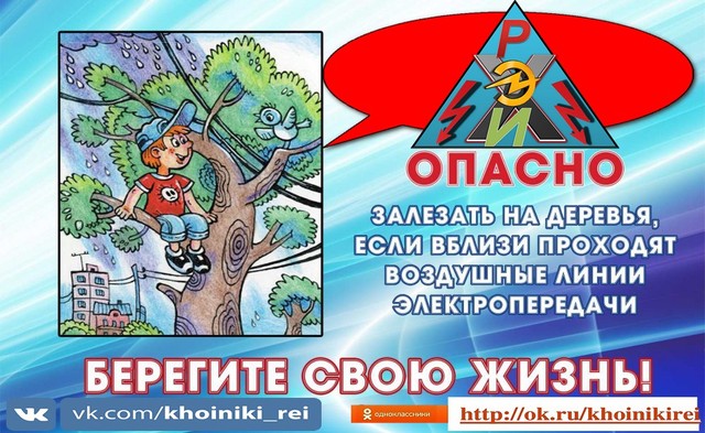 Хойникская РЭИ