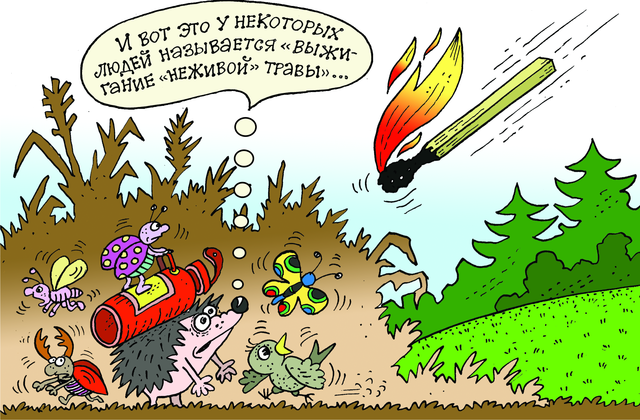 Опасность весенних палов Опасность весенних палов
